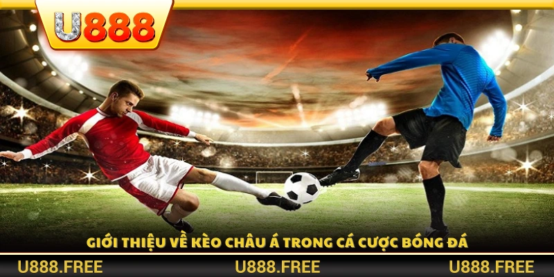 Giới thiệu hình thức cược kèo châu Á 