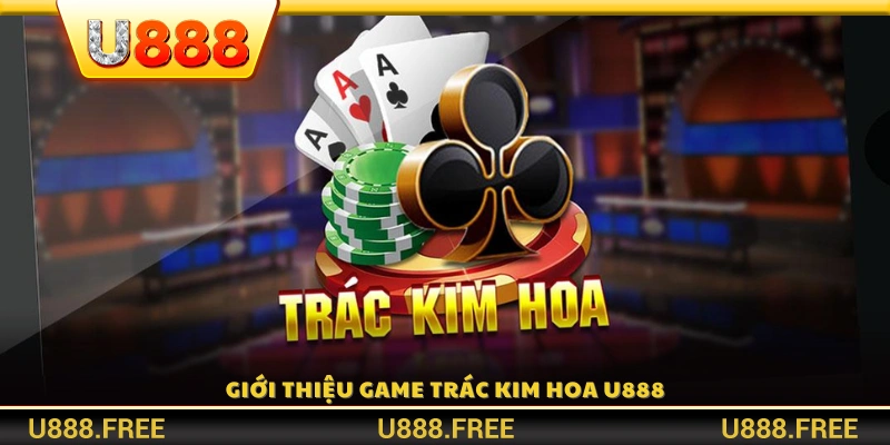 Tổng quan về Trác Kim Hoa U888